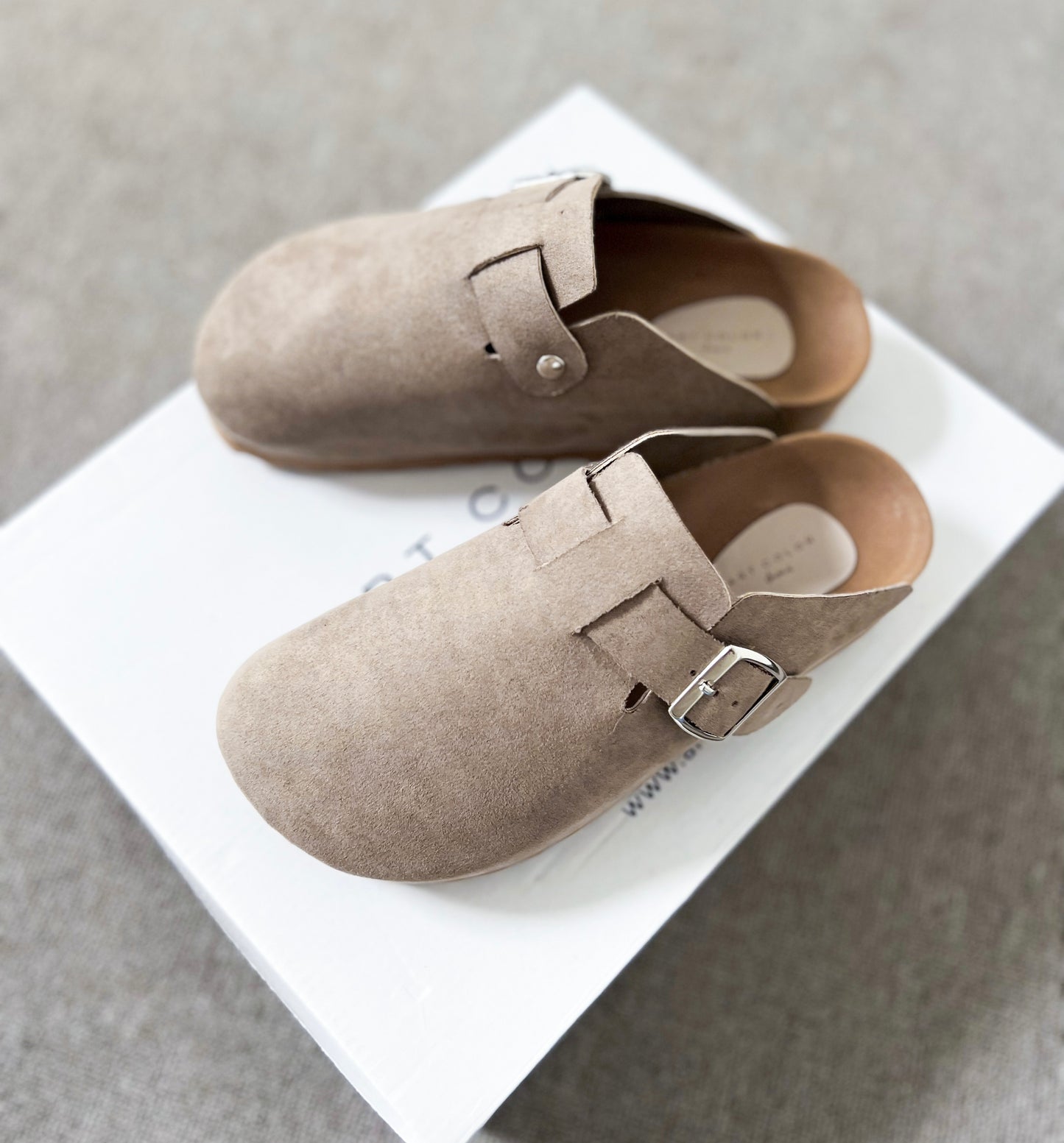 Clogs nutria