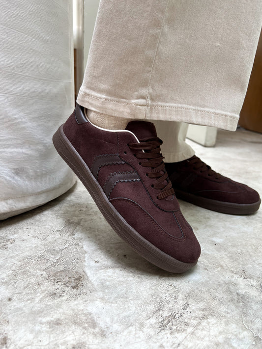 New Alexa Total Brown